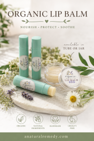 Natural lip balm (Lip Balm flavors: Strawberry (SB))
